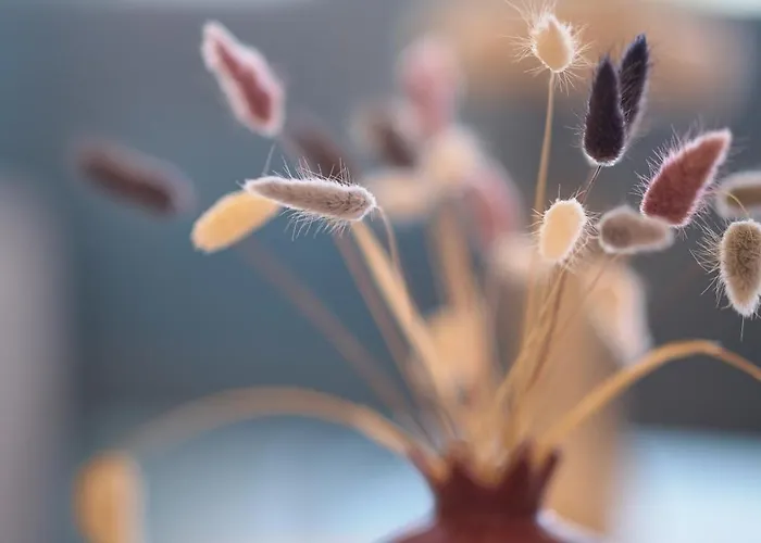 Villa Paradisio 2, Pool, Sea View *